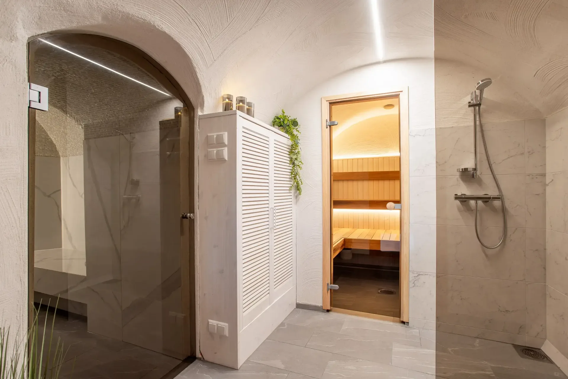 Sauna spa room with shower, vaulted plaster ceiling and sauna door